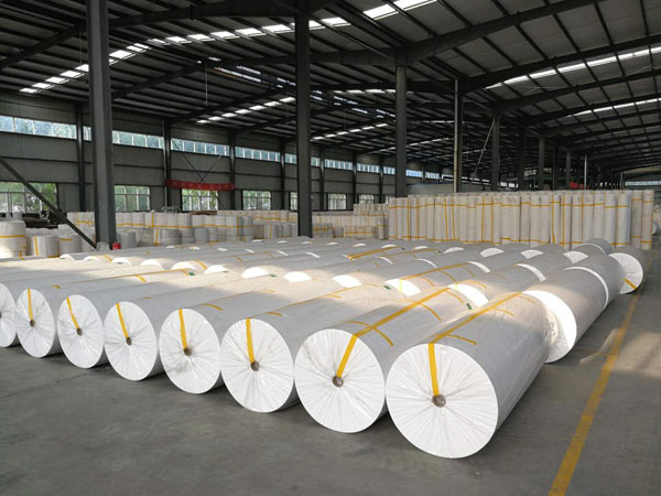 涞水狭缝式涤纶纺粘无纺布